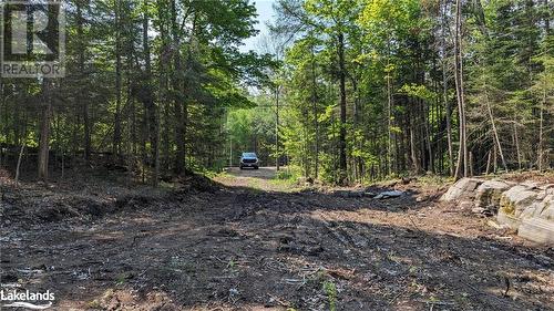 Lot 2 Limberlost Road, Lake Of Bays, ON 