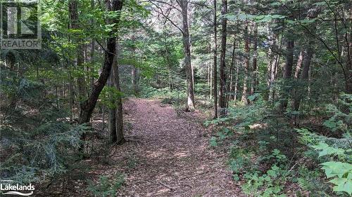 Lot 2 Limberlost Road, Lake Of Bays, ON 