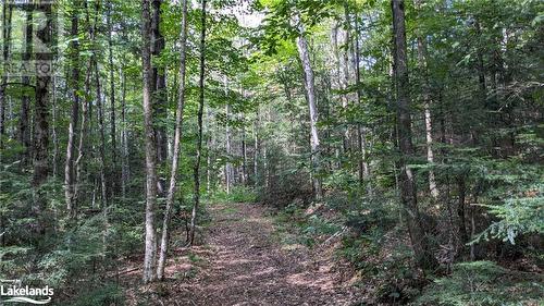 Lot 2 Limberlost Road, Lake Of Bays, ON 