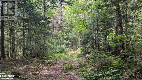 Lot 2 Limberlost Road, Lake Of Bays, ON 