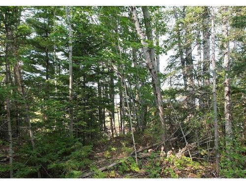 24-5 Highway 321 Highway, Roslin, NS 