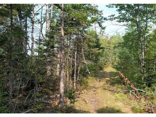 24-2 Highway 321 Highway, Roslin, NS 