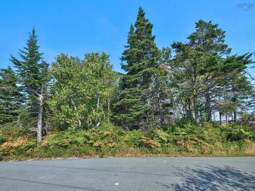 Lot 5A Island Watch Run, Northwest Cove, NS 