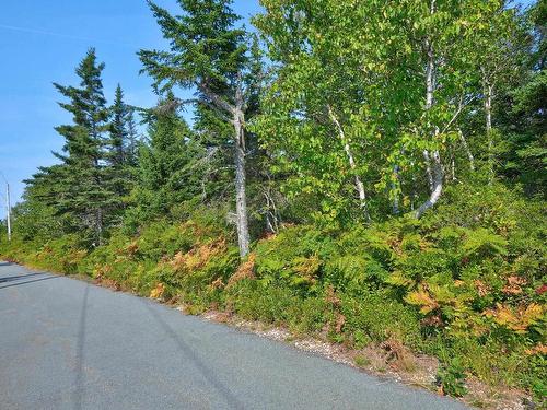 Lot 5A Island Watch Run, Northwest Cove, NS 