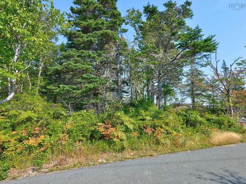 Lot 5A Island Watch Run, Northwest Cove, NS 