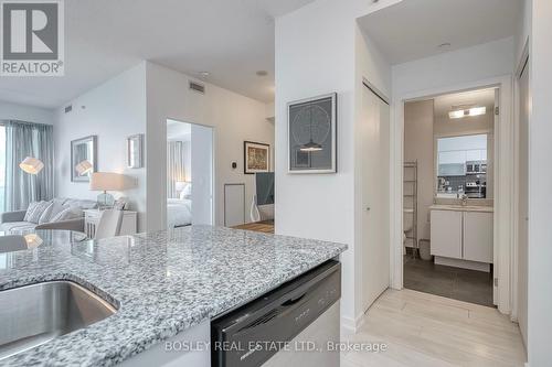 802 - 150 East Liberty Street, Toronto, ON - Indoor Photo Showing Kitchen