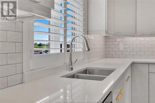 729 Brownstone Drive, Lakeshore, ON - Indoor Photo Showing Kitchen With Double Sink