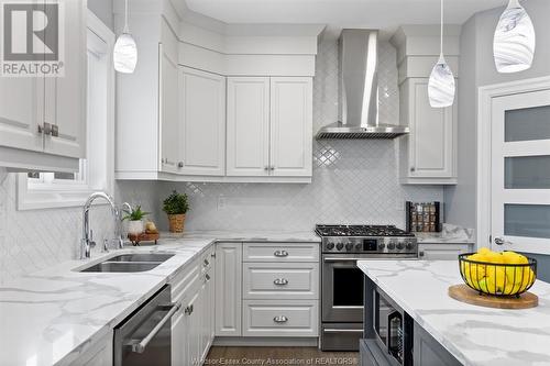 202 Spring Street, Belle River, ON - Indoor Photo Showing Kitchen With Double Sink With Upgraded Kitchen