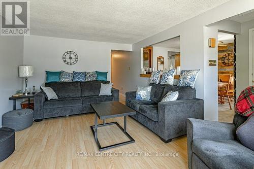 120 Ferguson Avenue, Cambridge, ON - Indoor Photo Showing Living Room