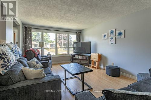 120 Ferguson Avenue, Cambridge, ON - Indoor Photo Showing Living Room