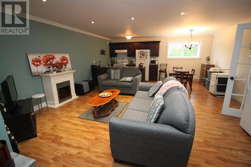 1 Warren Drive, Massey Drive, NL - Indoor Photo Showing Living Room With Fireplace