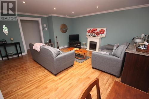 1 Warren Drive, Massey Drive, NL - Indoor Photo Showing Living Room