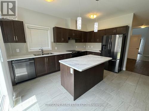 94 Mccabe Avenue, Welland, ON - Indoor Photo Showing Kitchen With Double Sink