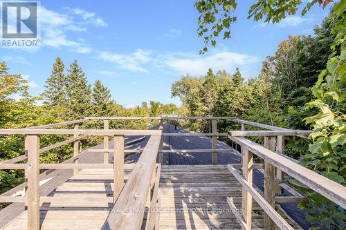 136 Hamlet Road, Blue Mountains, ON - Outdoor