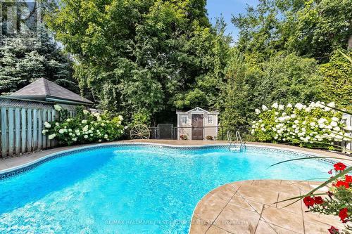 6 Redvers Street, Whitby (Williamsburg), ON - Outdoor With In Ground Pool With Backyard