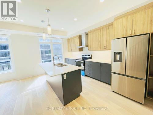 33 - 258 Hespeler Road, Cambridge, ON - Indoor Photo Showing Kitchen With Upgraded Kitchen