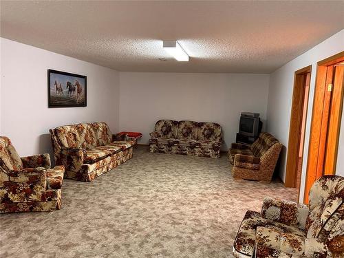 221 Broadway Avenue, Killarney, MB - Indoor Photo Showing Living Room