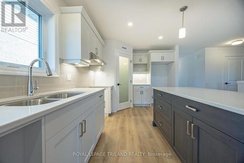 10 Silverleaf Path, St. Thomas, ON - Indoor Photo Showing Kitchen With Double Sink With Upgraded Kitchen