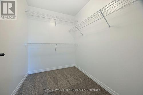 10 Silverleaf Path, St. Thomas, ON - Indoor With Storage