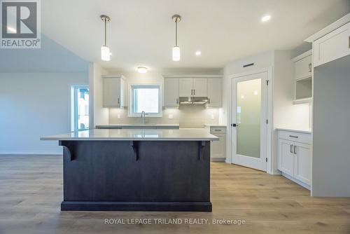 10 Silverleaf Path, St. Thomas, ON - Indoor Photo Showing Kitchen With Upgraded Kitchen