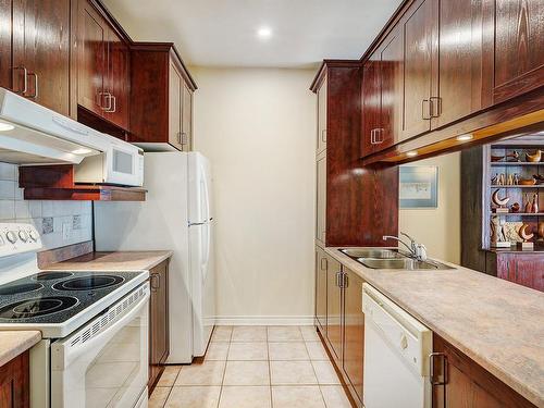 Kitchen - 301-196 Rue Gary-Carter, Montréal (Villeray/Saint-Michel/Parc-Extension), QC - Indoor Photo Showing Kitchen With Double Sink