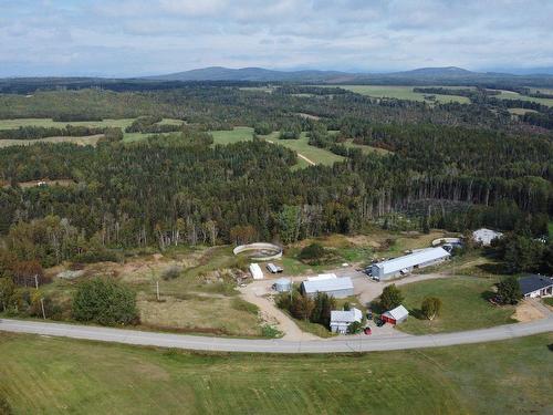 Aerial photo - 890 Rg St-Nicolas, Saint-Irénée, QC - Outdoor With View