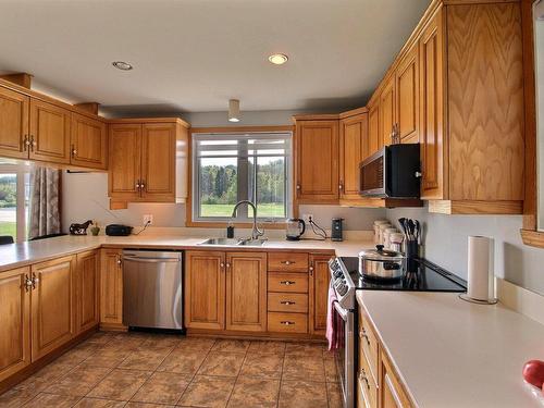 Kitchen - 890 Rg St-Nicolas, Saint-Irénée, QC - Indoor Photo Showing Kitchen