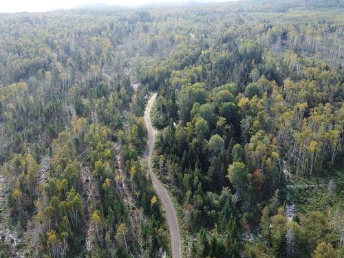 Aerial photo - 890 Rg St-Nicolas, Saint-Irénée, QC - Outdoor With View