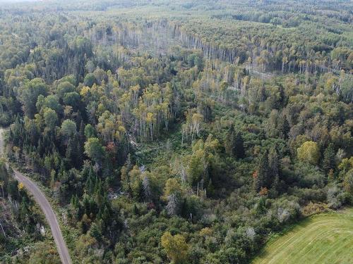 Aerial photo - 890 Rg St-Nicolas, Saint-Irénée, QC - Outdoor With View