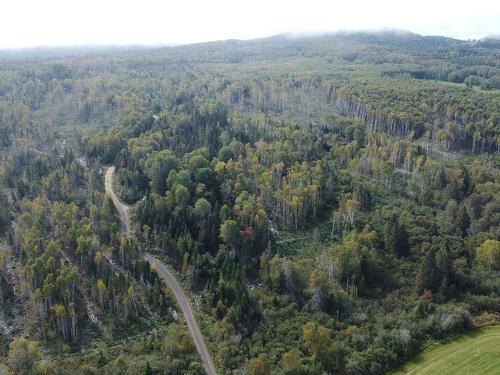 Aerial photo - 890 Rg St-Nicolas, Saint-Irénée, QC - Outdoor With View