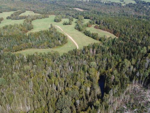 Aerial photo - 890 Rg St-Nicolas, Saint-Irénée, QC - Outdoor With View