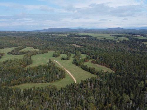 Aerial photo - 890 Rg St-Nicolas, Saint-Irénée, QC - Outdoor With View