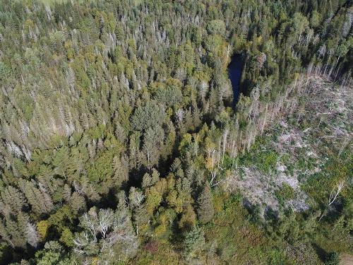 Aerial photo - 890 Rg St-Nicolas, Saint-Irénée, QC - Outdoor With View