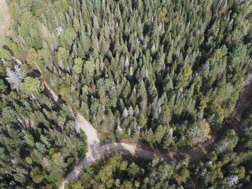 Aerial photo - 890 Rg St-Nicolas, Saint-Irénée, QC - Outdoor With View