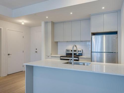 Cuisine - 801-1485 Rue Des Bassins, Montréal (Le Sud-Ouest), QC - Indoor Photo Showing Kitchen With Double Sink With Upgraded Kitchen