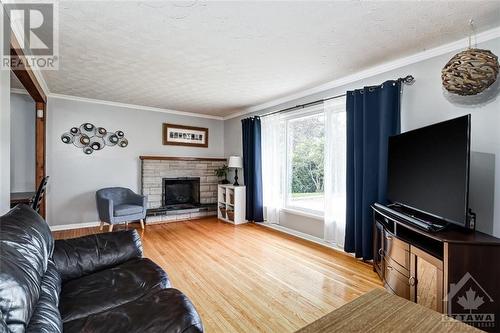 3722 Louiseize Road, Ottawa, ON - Indoor Photo Showing Living Room With Fireplace