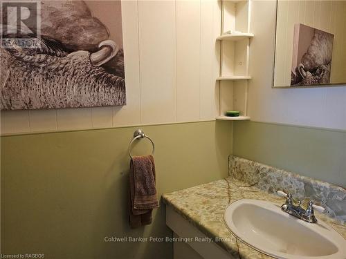 28 4Th Street, Arran-Elderslie, ON - Indoor Photo Showing Bathroom