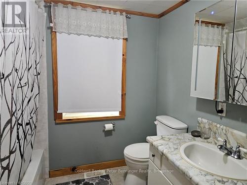 28 4Th Street, Arran-Elderslie, ON - Indoor Photo Showing Bathroom