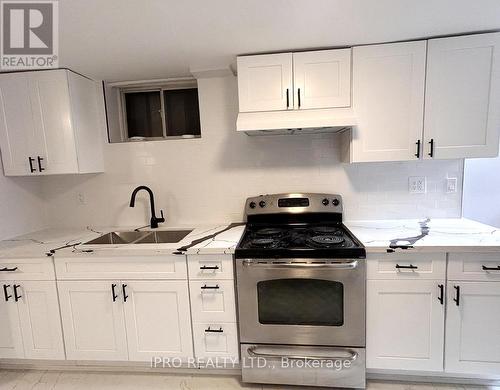 Basemen - 1298 Minden Street, Oshawa, ON - Indoor Photo Showing Kitchen With Double Sink