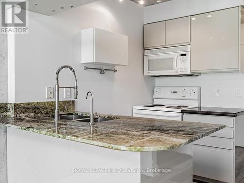 326 - 954 King Street W, Toronto, ON - Indoor Photo Showing Kitchen With Double Sink With Upgraded Kitchen