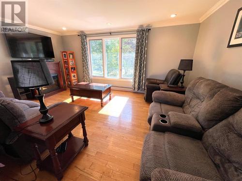 93 Grenfell Heights, Grand Falls-Windsor, NL - Indoor Photo Showing Living Room