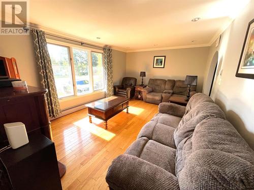 93 Grenfell Heights, Grand Falls-Windsor, NL - Indoor Photo Showing Living Room