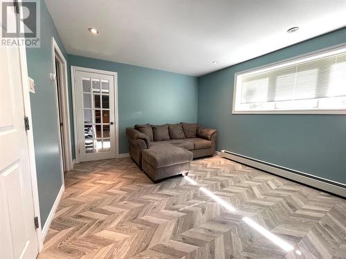 93 Grenfell Heights, Grand Falls-Windsor, NL - Indoor Photo Showing Living Room