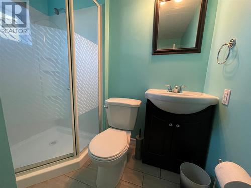 93 Grenfell Heights, Grand Falls-Windsor, NL - Indoor Photo Showing Bathroom