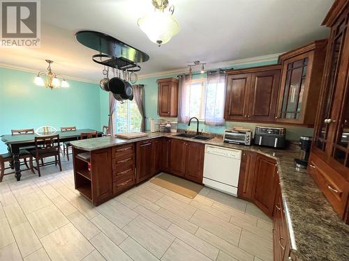 93 Grenfell Heights, Grand Falls-Windsor, NL - Indoor Photo Showing Kitchen With Double Sink