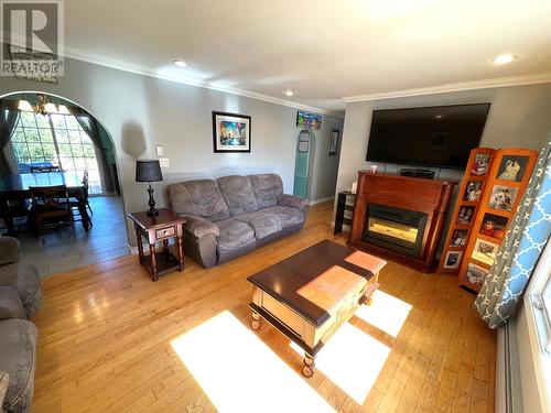 93 Grenfell Heights, Grand Falls-Windsor, NL - Indoor Photo Showing Living Room With Fireplace