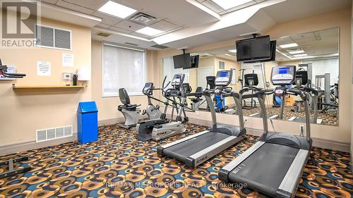 301 - 245 Dalesford Road, Toronto, ON - Indoor Photo Showing Gym Room