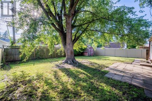 3571 Charlevoix Avenue, Windsor, ON - Outdoor With Backyard