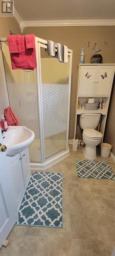 18 West Street, Grand Bank, NL - Indoor Photo Showing Bathroom