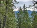 Lot 40 Pine Ridge Mountain  Lane, Invermere, BC 